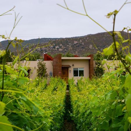 Ojo Azul Resort Valle de Guadalupe Exterior photo