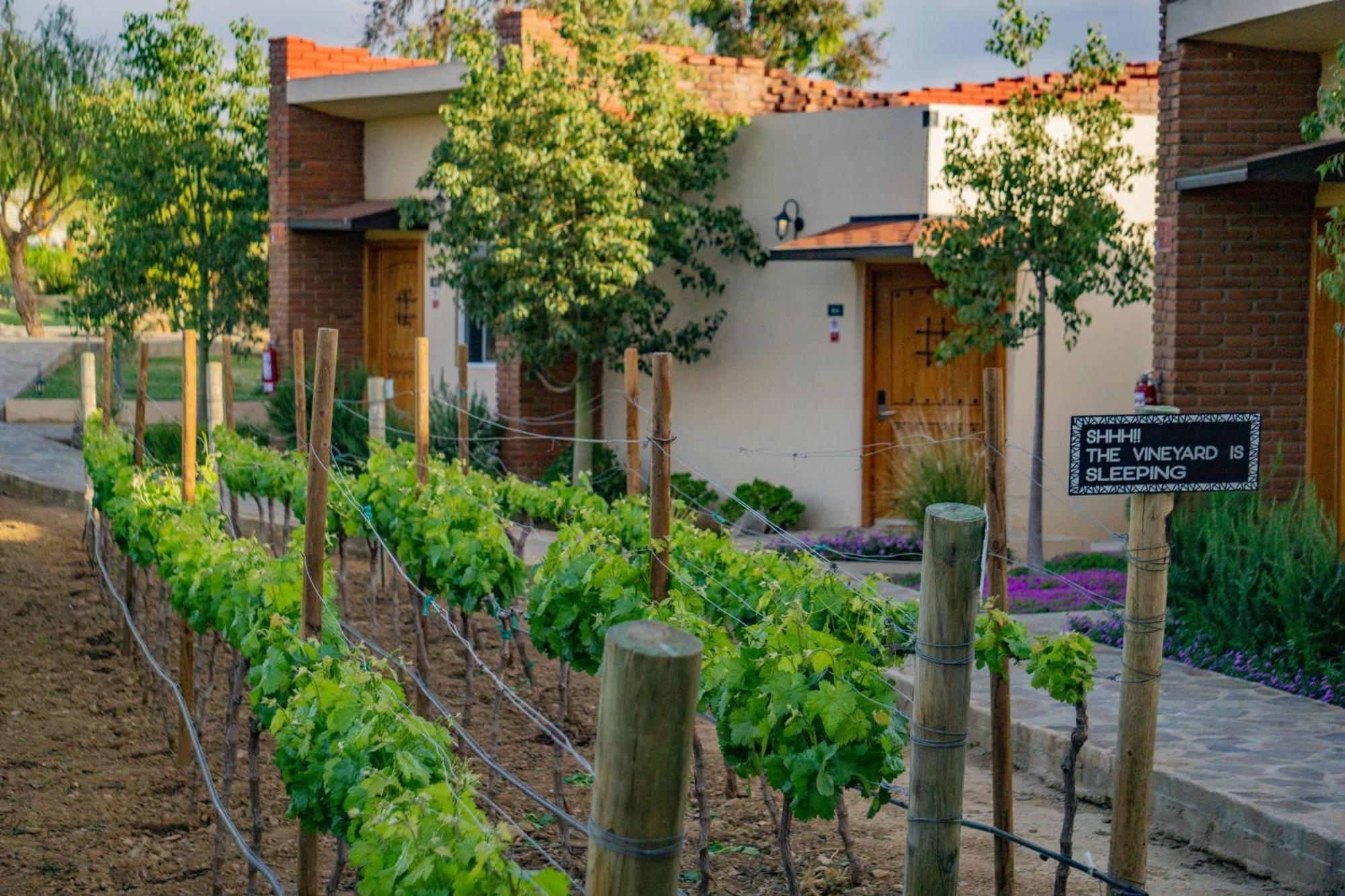 Ojo Azul Resort Valle de Guadalupe Exterior photo