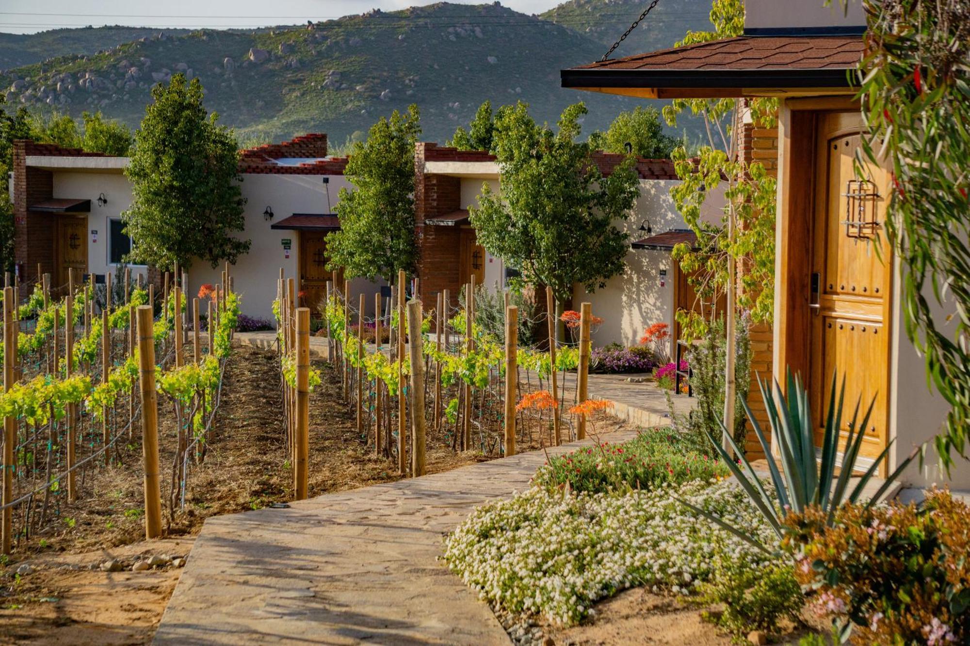 Ojo Azul Resort Valle de Guadalupe Exterior photo
